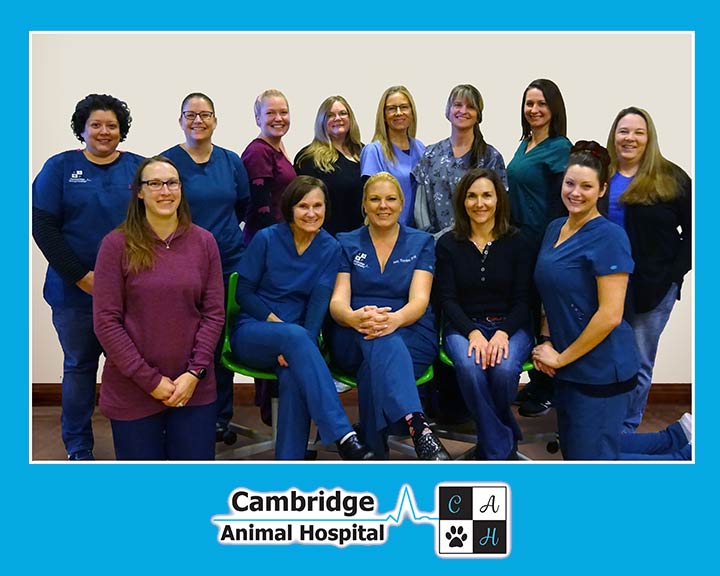 Longmont Veterinarian Staff at Cambridge Animal Hospital